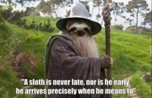 Sloth Meme - A Sloth Is Never Late, Nor Is He Early, He Arrives Precisely When He Means To.