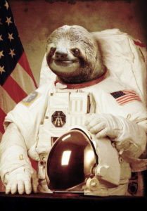 Sloth Meme - Astronaut Sloth.