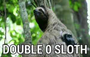 Sloth Meme - Double 0 Sloth.