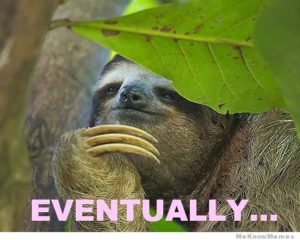 Sloth Meme - Eventually...