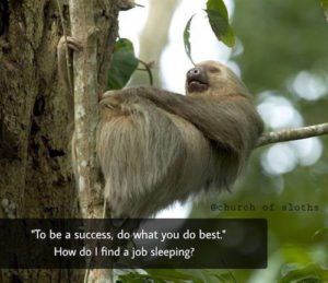 Sloth Meme - To Be A Success, Do What You Do Best. How Do I Find A Job Sleeping?