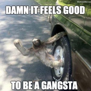 Sloth Meme - Damn It Feels Good To Be A Gangsta