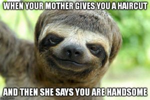 Sloth Meme - When Your Mother Gives You A Haircut And Then She Says You Are Handsome