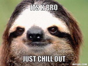 Sloth Meme - It's K Bro, Just Chill Out.