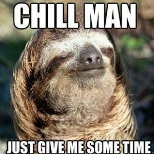 Sloth Meme - Chill Man, Just Give Me Some Time.