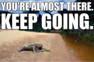 Sloth Meme - Keep Going Sloth | Just Slothing Around