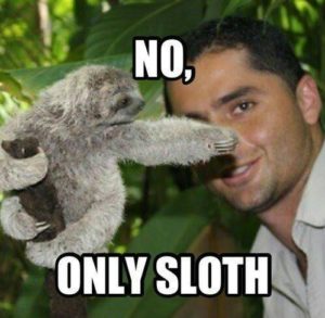 Sloth Meme - No, Only Sloth.
