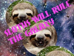 Sloth Meme - Sloths Will Rule The Galaxy.