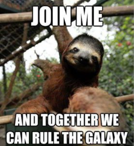 Sloth Meme - Join Me And Together We Can Rule The Galaxy.