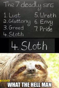 Sloth Meme - The 7 Deadly Sins: Lust, Gluttony, Greed, Sloth, Wrath, Envy, Pride. What The Hell Man.
