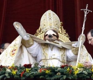 Sloth Meme - Sloth Pope.
