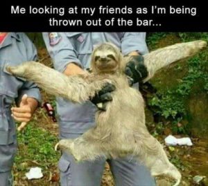 Sloth Meme - Me Looking At My Friends As I'm Being Thrown Out Of The Bar.