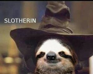 Sloth Meme - Slotherin.