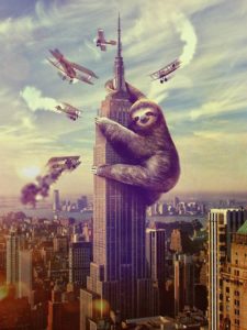 Sloth Meme - Slothzilla Climbing A Building.