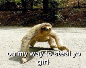 Sloth Meme - On My Way To Steal Yo Girl.