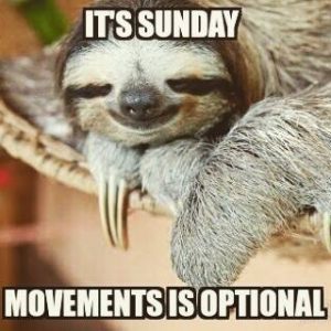 Sloth Meme - It's Sunday, Movements Is Optional.