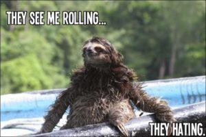 Sloth Meme - They See Me Rolling... They Hating.