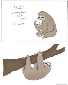 Sloth Meme - To Do: Hang From Tree Branch, Relax.