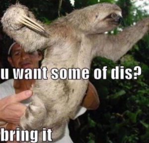 Sloth Meme - U Want Some Of Dis? Bring It.