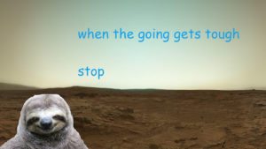 Sloth Meme - When The Going Gets Tough, Stop.
