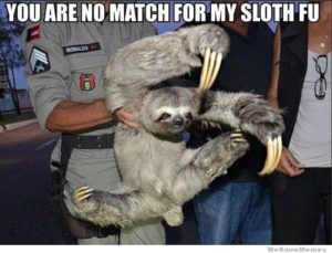 Sloth Meme - You Are No Match For My Sloth Fu.